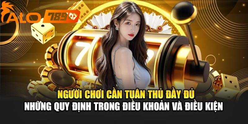 Một điều khoản quan trọng là cam kết bảo mật thông tin người dùng